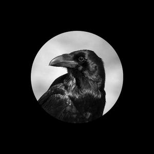 内衣办公室1～3旧番
